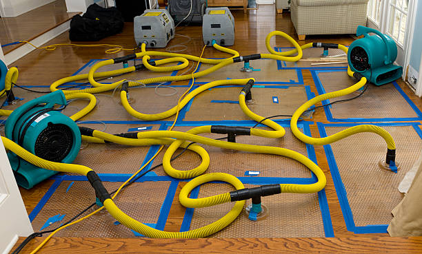 Professional Storm Water Damage Restoration technician working in Bingham Canyon, UT